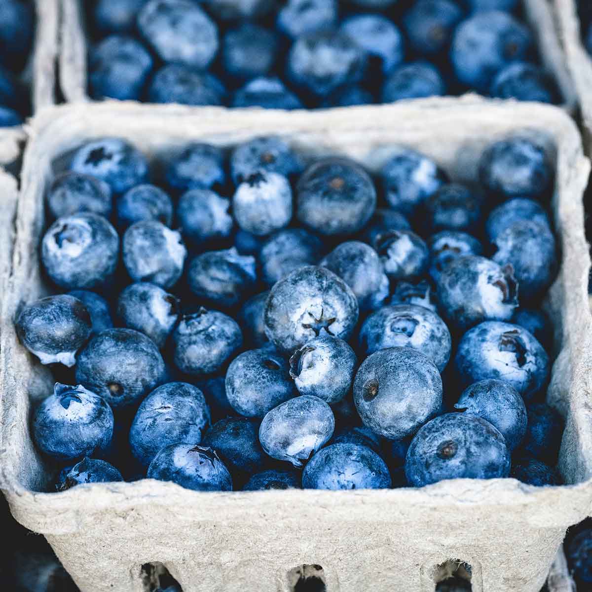 blueberries.jpg