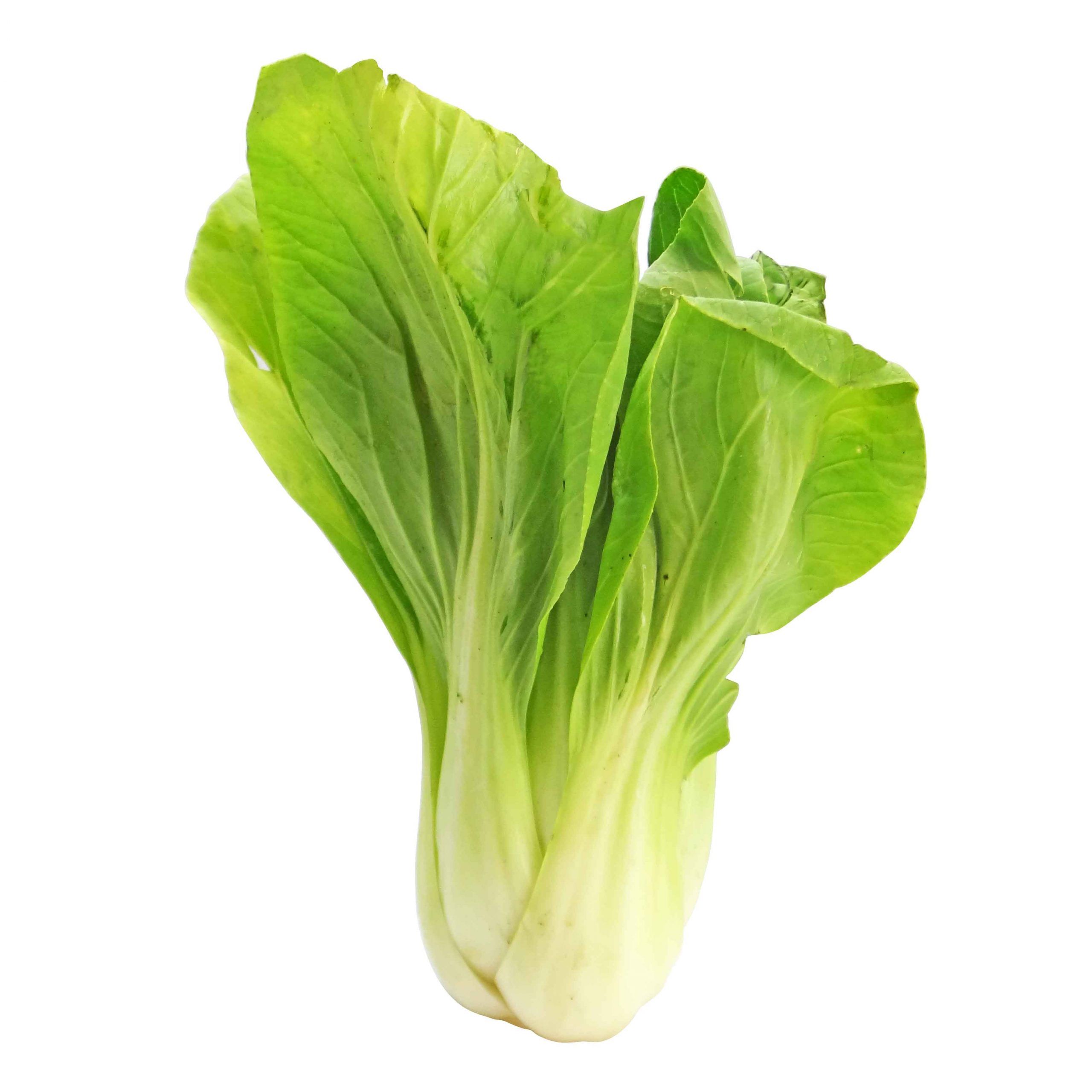 bokchoy-2494763-scaled.jpg