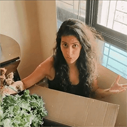 priyanka-copy-min.png