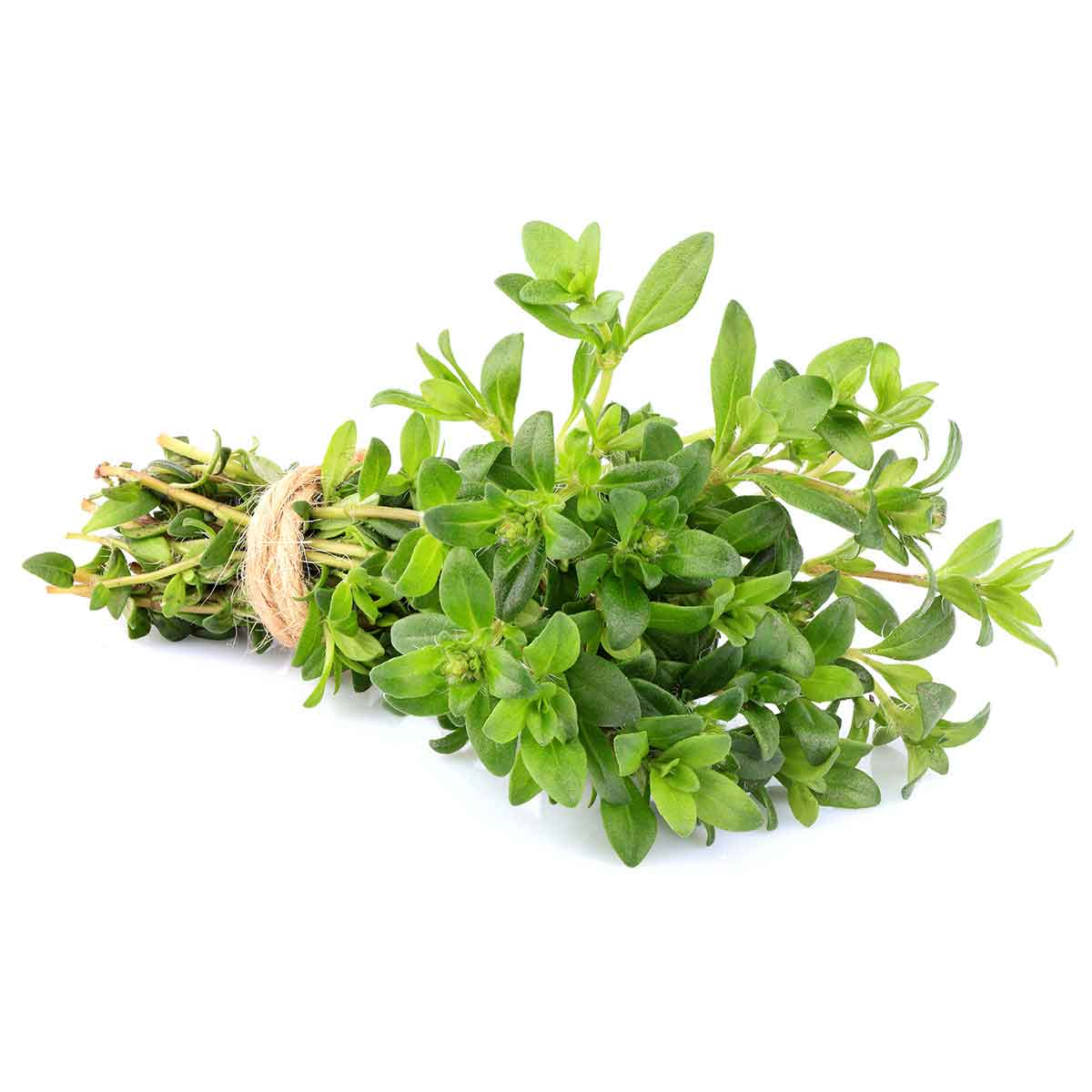 thyme.jpg